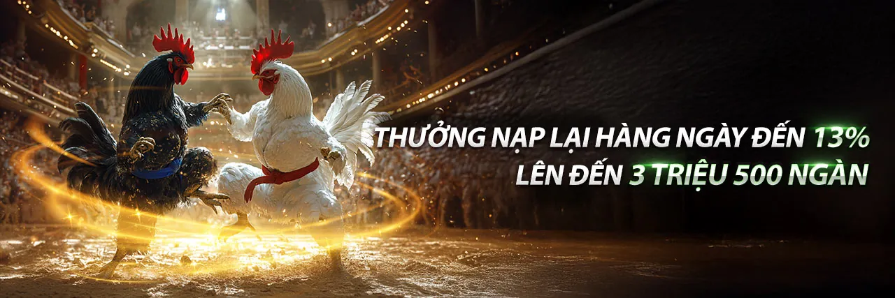 Khuyến Mãi PBV338